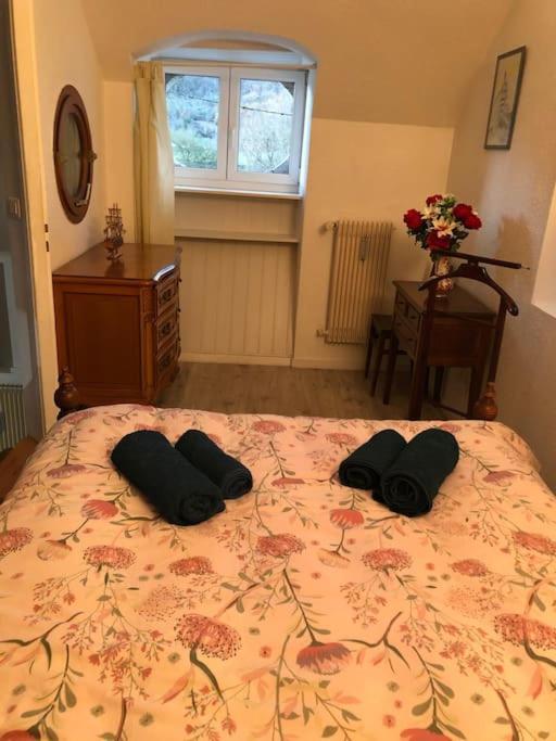 Appartement Rdc Dans Jolie Parc Arbore Beure エクステリア 写真